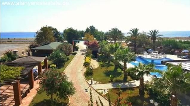 Voll möbliertes Duplex Penthaus gleich am Strand mit Pool und fantastischem Meerblick