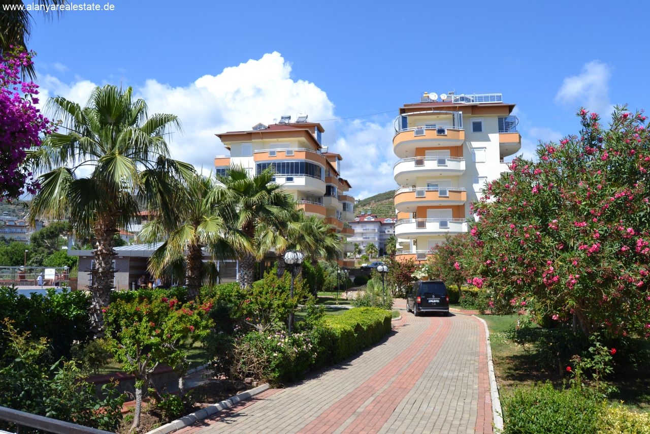 Voll möbliertes Duplex Penthaus gleich am Strand mit Pool und fantastischem Meerblick