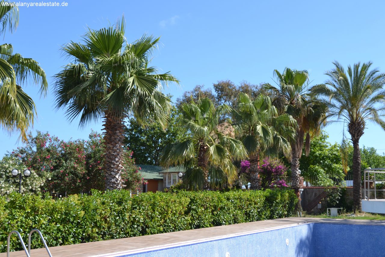 Voll möbliertes Duplex Penthaus gleich am Strand mit Pool und fantastischem Meerblick